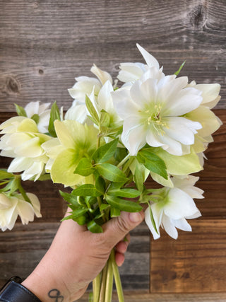 The DIY Summer Flowers Subscription