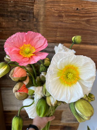 The DIY Summer Flowers Subscription
