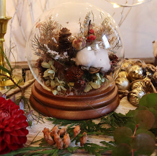 The Snow Globe