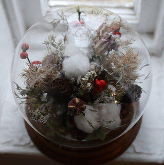 The Snow Globe