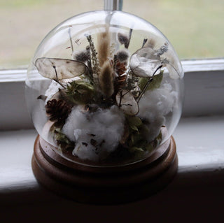 The Snow Globe