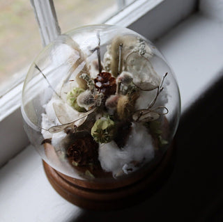 The Snow Globe