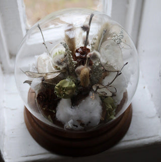 The Snow Globe