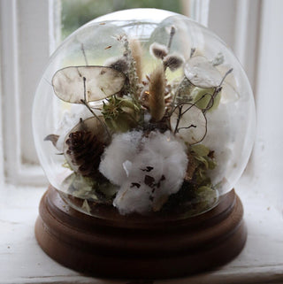 The Snow Globe