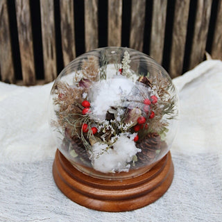 The Snow Globe