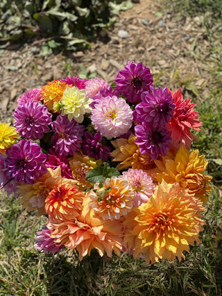 The DIY Summer Flowers Subscription