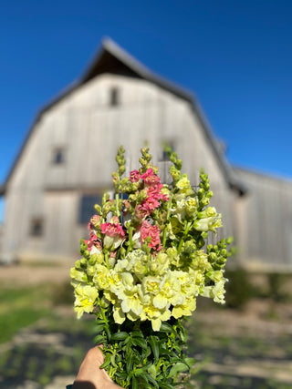 The DIY Flower Subscription