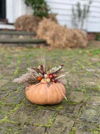 Dried Floral Pumpkins Workshop  | October 17th