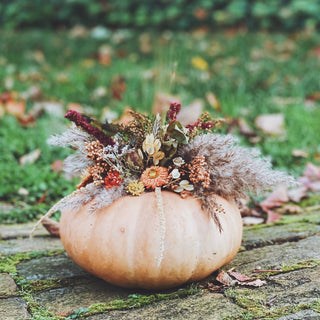 Dried Floral Pumpkins Workshop  | October 17th