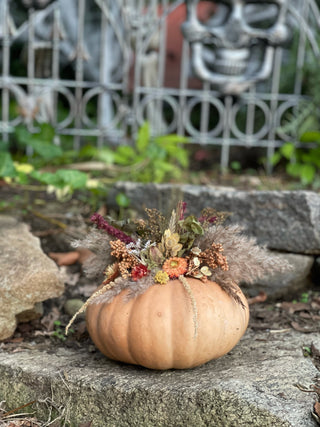 Dried Floral Pumpkins Workshop  | October 17th
