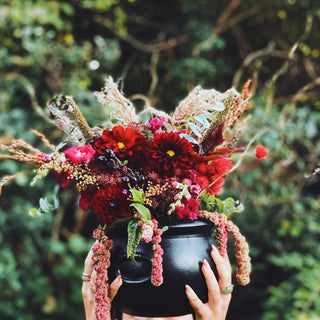 The Witch's Cauldron