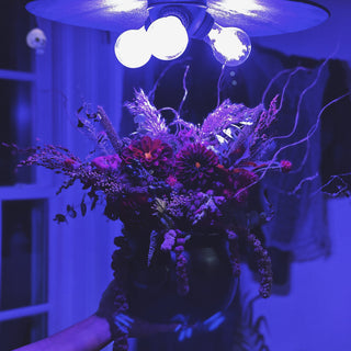 The Witch's Cauldron