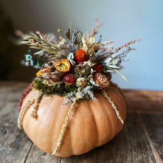 Dried Floral Pumpkins Workshop  | October 17th