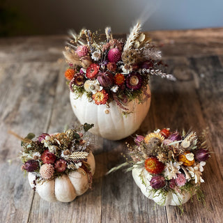 Dried Floral Pumpkins Workshop  | October 17th