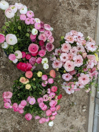 Brunch & Blooms Monthly Floral Design Workshop: May 15th